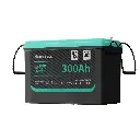 MINT 12300 Battery