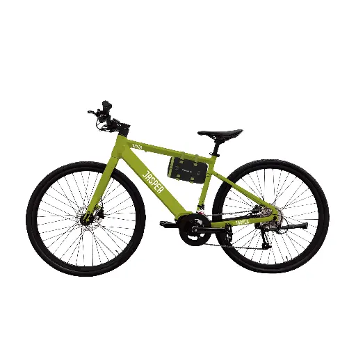 [FPZBBIK36V250] Jasper E-Bike 36 Package